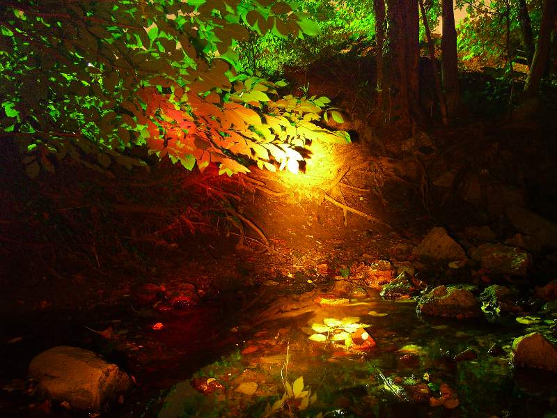 Stoney Run by Flashlight.JPG